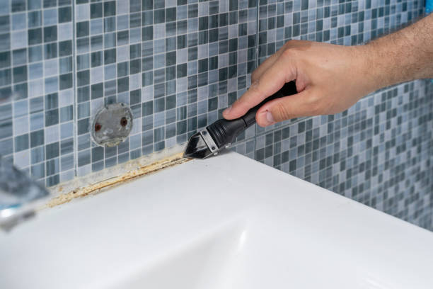 Best DIY Mold Remediation Support Services in Pleasantville, NY